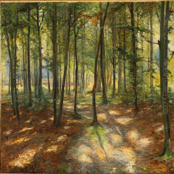 View From Bistrup Hegn Forest, Denmark - view 1