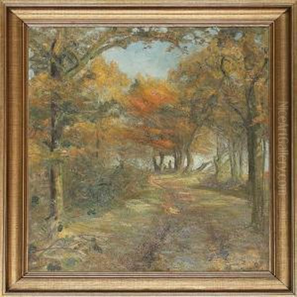 From Herlufsholmskovenforest, Denmark - view 1