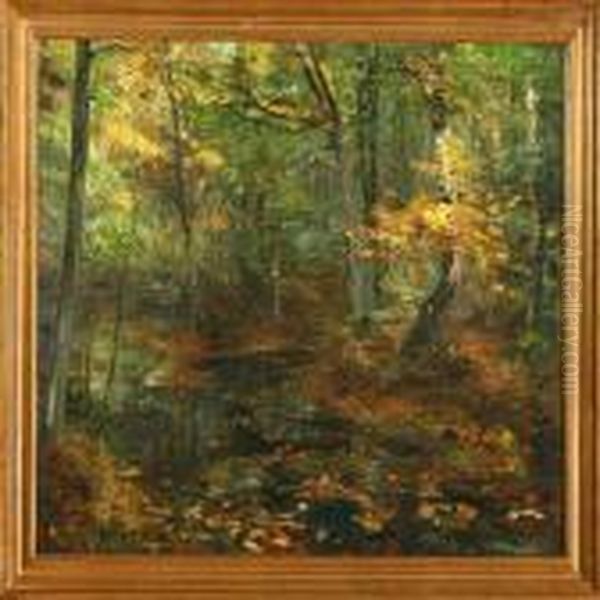 Autumn Forest Scene - view 1