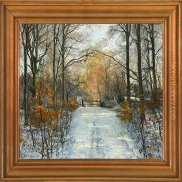Vinter View Of Herlufsholm Forest - view 1