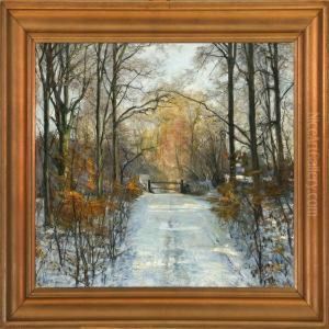 Vinter View Of Herlufsholm Forest