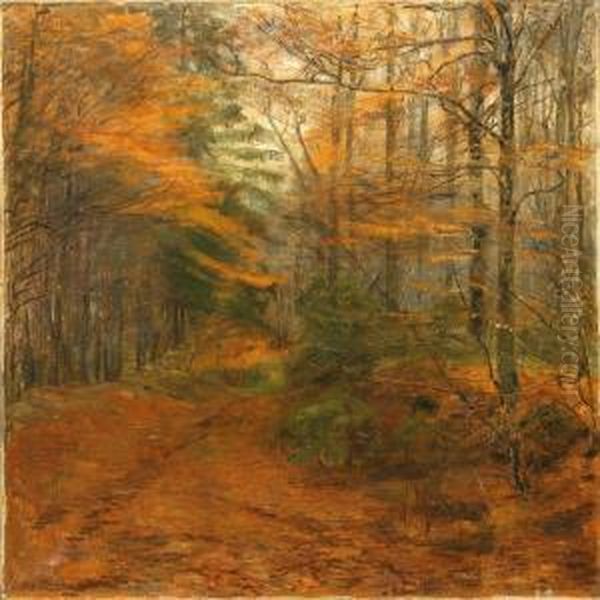 Autumn View From The Herlufholm Forest - view 1