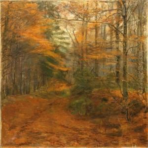 Autumn View From The Herlufholm Forest