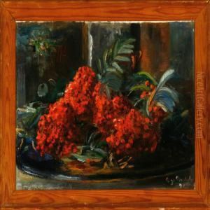 Rowanberries On A Dish