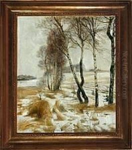 A Vinter Landscape