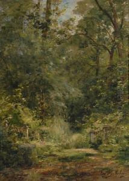 Sous Bois - view 1