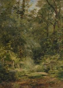 Sous Bois by Eugene Berthelon