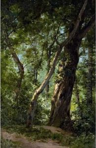 Arbres En Foret by Eugene Berthelon