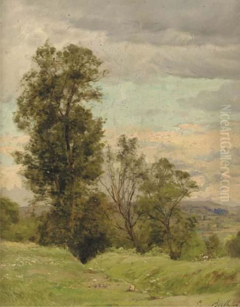 Paysage - view 1