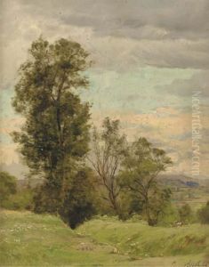 Paysage