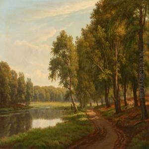 Summer's Day At A Forest Lake