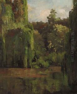 Willows, Upper Yarra, Warrandyte Willows, Upper Yarra, Warrandyte