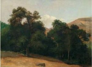 Royat, Chemin Du Paradis by Edouard Francois Bertin
