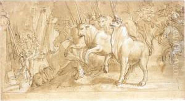 Parma - view 1