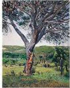 Pinos Del Plantio De Los Infantes (pine Trees In The Plantio De Los Infantes) by Aureliano de Beruete y Moret