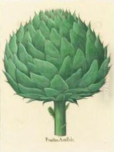 Fructus Artischochi