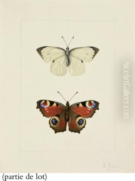 Un Papillon Blanc - view 1