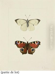 Un Papillon Blanc by Pancrace Bessa