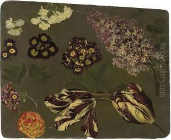 Une Branche De Lilas Violet, Des
Auriculae Mauves, Des Tulipes Panachees Violettes Et Blanches Et Un
Camelia - view 1