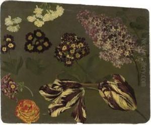 Une Branche De Lilas Violet, Des
 Auriculae Mauves, Des Tulipes Panachees Violettes Et Blanches Et Un 
Camelia