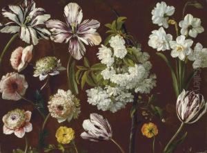 Purple Tulips, White Flowering Prunus, Narcissus And Pinkchrysanthemum