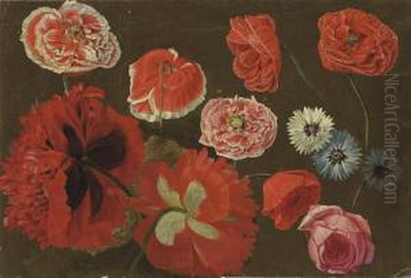 Red, Pink And White Poppies, Cornflowers Centaurea And A Pinkrose - view 1