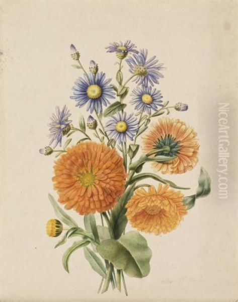 Bouquet D'asters Bleus Et De Soucis Orange (recto); Une Asteraceepourpre (verso) - view 1
