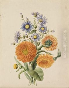 Bouquet D'asters Bleus Et De Soucis Orange (recto); Une Asteraceepourpre (verso)