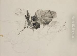Ensemble De Trois Dessins Representant Des Feuillages Et Des Troncsd'arbres by Pancrace Bessa