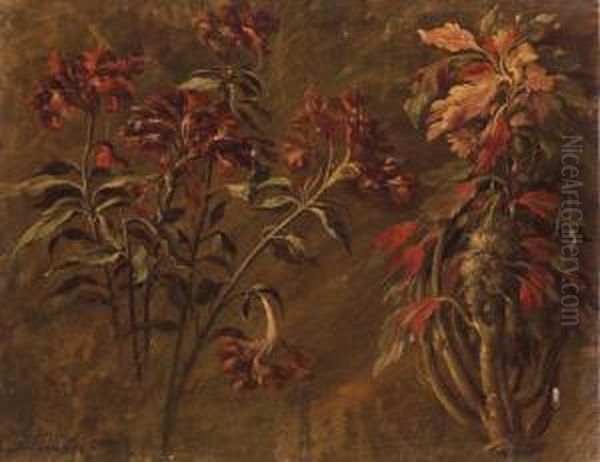 Pivoines Sauvages (recto); Fleurs Et Fruits De Chevrefeuille(verso) - view 1
