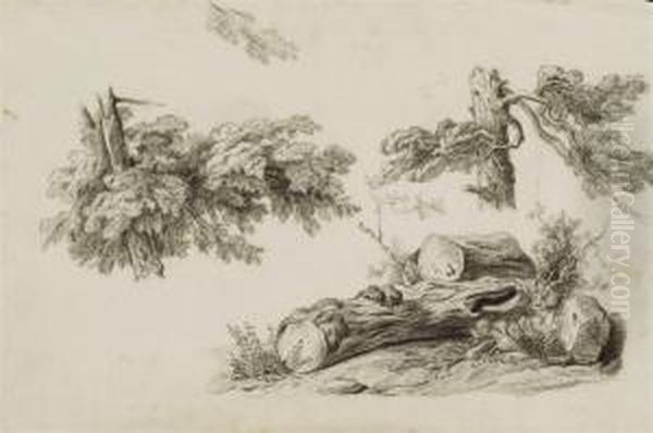 Trois Etudes De Feuillages Et De Troncs D'arbres - view 1