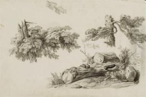 Trois Etudes De Feuillages Et De Troncs D'arbres by Pancrace Bessa