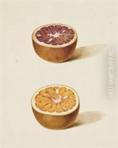 Deux Demi-oranges Sanguines