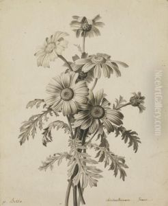 Bouquet De Chrysanthemes