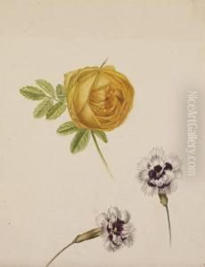 Deux Tulipes Jaunes En Boutons ; Et Une Rose Orange Et Deuxoeillets Violet Et Blanc