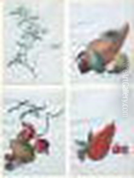 Neuf Etudes De Botaniques : 
Courges Et Fruit, Courge Et Tomate, Courge Et Kaki, Branche D'eglantine,
 Branche De Magnolia, Grenade Et Coin... - view 1