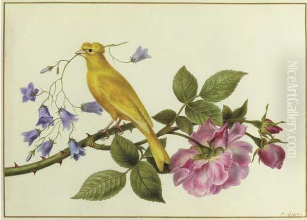 A Canary Perched On A The Branch Of A Pink Rose, Carrying Harebellsin Its Beak - view 1