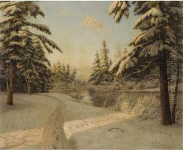 Winter Sunlight - view 1
