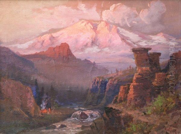 View Of Mount Shasta With Campfire Inforeground - view 1