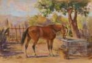 Cavalloall'abbeveraggio Cavalloall'abbeveraggio