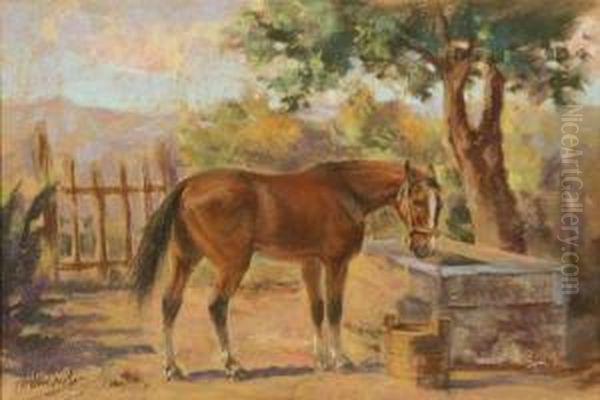 Cavallo - view 1