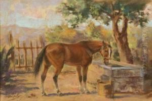 Cavallo