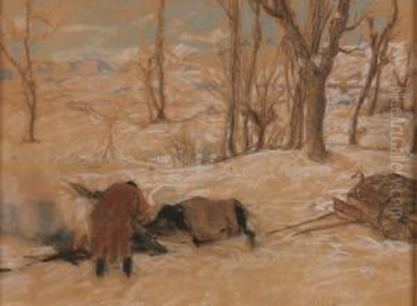 Il Cavallo Stremato Dal Freddo - view 1