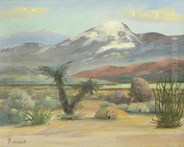 Desert In Bloom - view 1