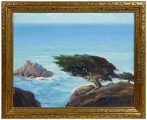 Twisted Tree On The California Coast by George Sanders Bickerstaff