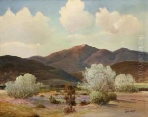 Atmospheric Desert Landscape