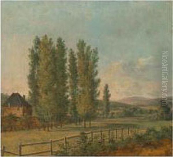 A Parkland Landscape With Trees In A Paddock - view 1