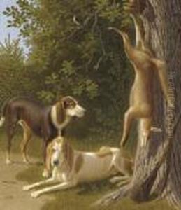 The Catch by Johann Jakob Biedermann