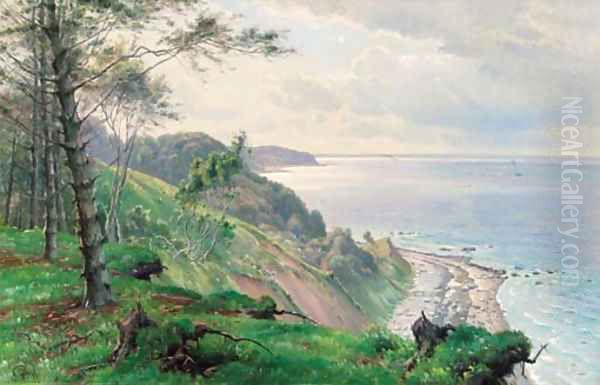 The Danish coast - view 1