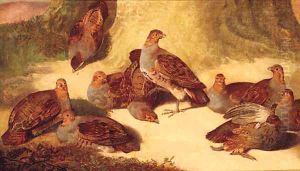 A Covey Of Partridges Beneath A Tree